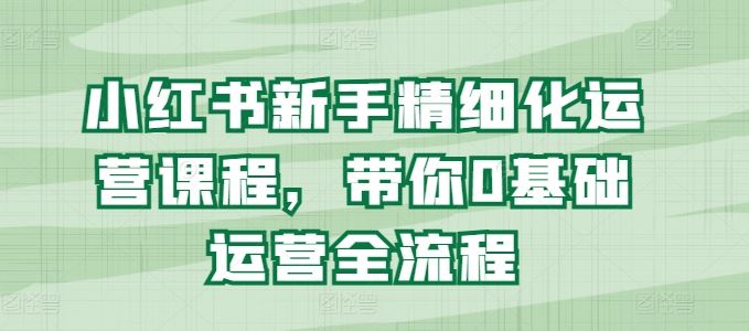 小红书新手精细化运营课程，带你0基础运营全流程-占领资源网
