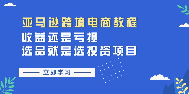 （11432期）亚马逊跨境电商教程：收益还是亏损！选品就是选投资项目-占领资源网