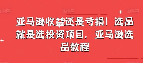 亚马逊收益还是亏损！选品就是选投资项目，亚马逊选品教程-占领资源网