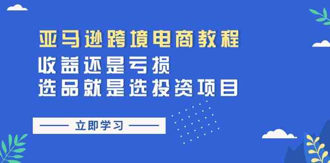 亚马逊跨境电商教程：收益还是亏损！选品就是选投资项目-占领资源网