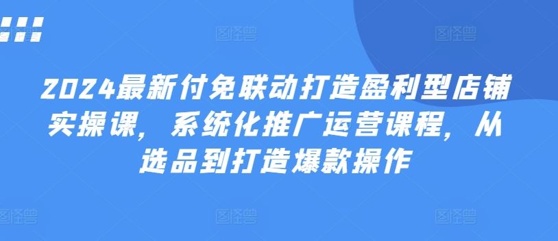 2024最新付免联动打造盈利型店铺实操课，​系统化推广运营课程，从选品到打造爆款操作-占领资源网