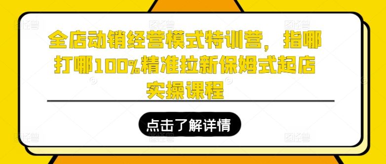 全店动销经营模式特训营，指哪打哪100%精准拉新保姆式起店实操课程-占领资源网
