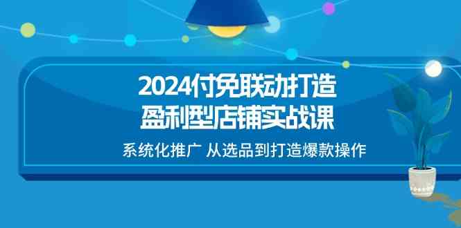 2024付免联动打造盈利型店铺实战课，系统化推广 从选品到打造爆款操作-占领资源网