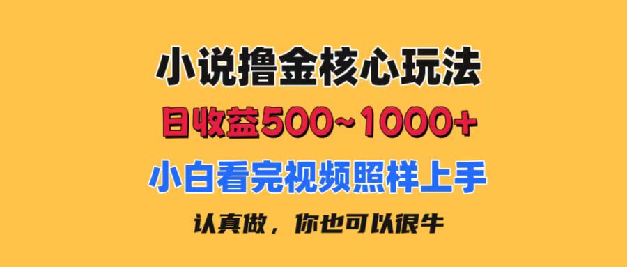 （11461期）小说撸金核心玩法，日收益500-1000+，小白看完照样上手，0成本有手就行-占领资源网