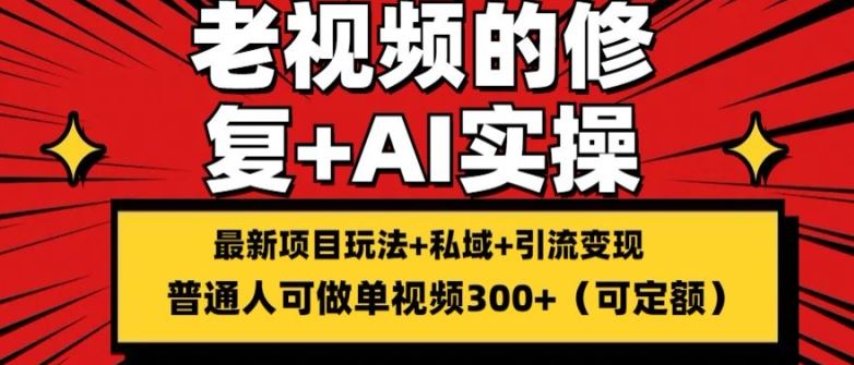 修复老视频的玩法，搬砖+引流的变现(可持久)，单条收益300+【揭秘】-占领资源网