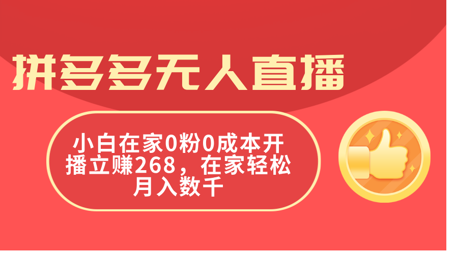 （11521期）拼多多无人直播，小白在家0粉0成本开播立赚268，在家轻松月入数千-占领资源网