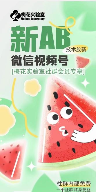 梅花实验室2024年AB技术视频号AB合成破解版-占领资源网