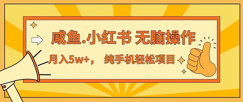 （11524期）2024最赚钱的项目，咸鱼，小红书无脑操作，每单利润500+，轻松月入5万+…-占领资源网