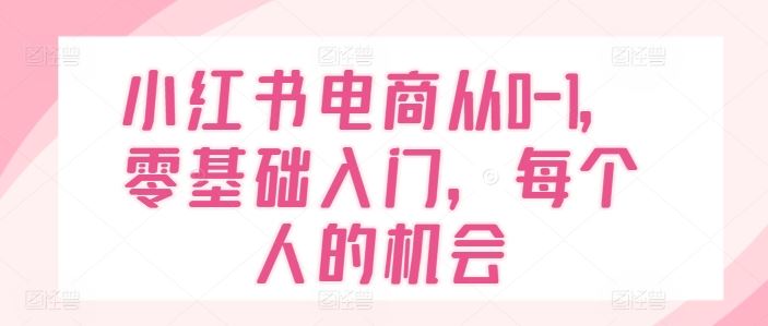 小红书电商从0-1，零基础入门，每个人的机会-占领资源网
