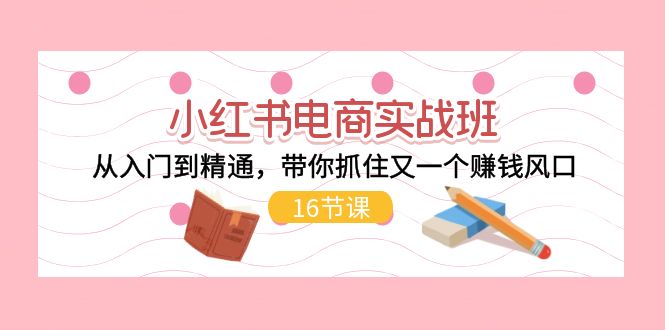 （11533期）小红书电商实战班，从入门到精通，带你抓住又一个赚钱风口（16节）-占领资源网