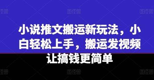 小说推文搬运新玩法，小白轻松上手，搬运发视频让搞钱更简单-占领资源网