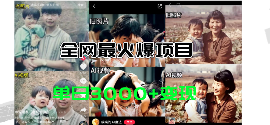 （11546期）全网爆火的AI让老照片动起来教程，蹭热点日赚3000+，内含免费工具一键…-占领资源网