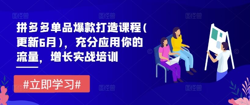 拼多多单品爆款打造课程(更新6月)，充分应用你的流量，增长实战培训-占领资源网