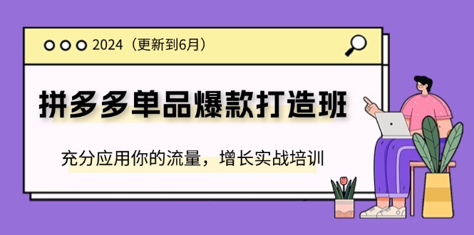 （11556期）2024拼多多-单品爆款打造班(更新6月)，充分应用你的流量，增长实战培训-占领资源网