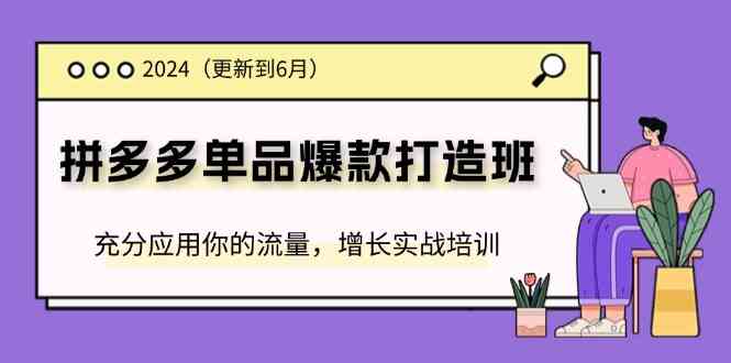 2024拼多多单品爆款打造班，充分应用你的流量，增长实战培训(更新6月)-占领资源网
