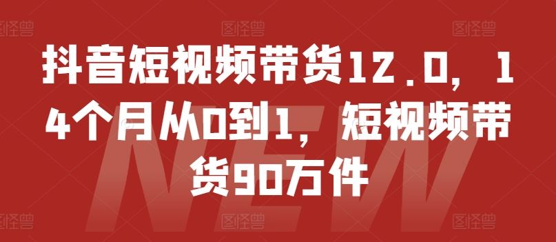 抖音短视频带货12.0，14个月从0到1，短视频带货90万件-占领资源网