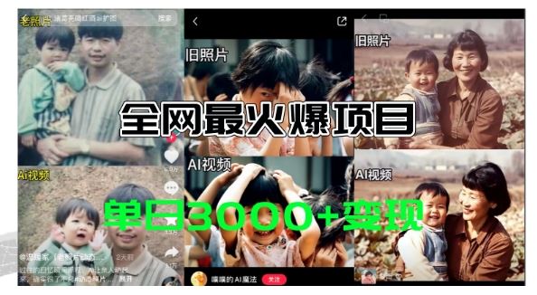 全网爆火的AI让老照片动起来教程，蹭热点日赚3k+，内含免费工具一键可生成【揭秘】-占领资源网