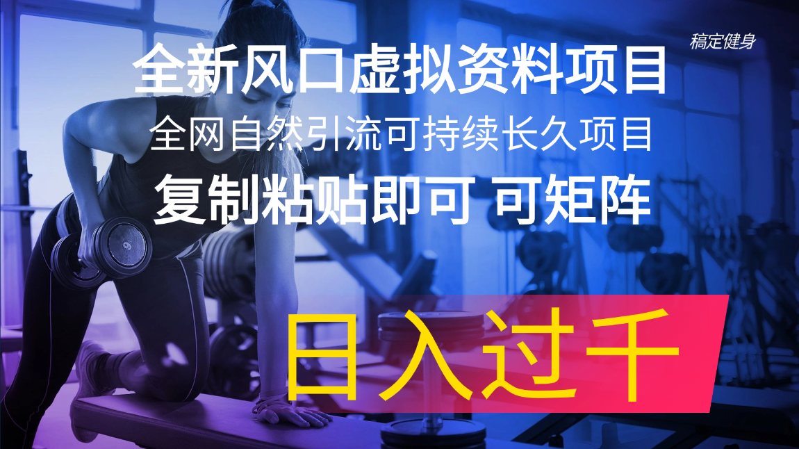 （11587期）全新风口虚拟资料项目 全网自然引流可持续长久项目 复制粘贴即可可矩阵…-占领资源网