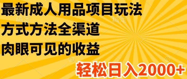最新成人用品项目玩法，方式方法全渠道，轻松日入2K+【揭秘】-占领资源网