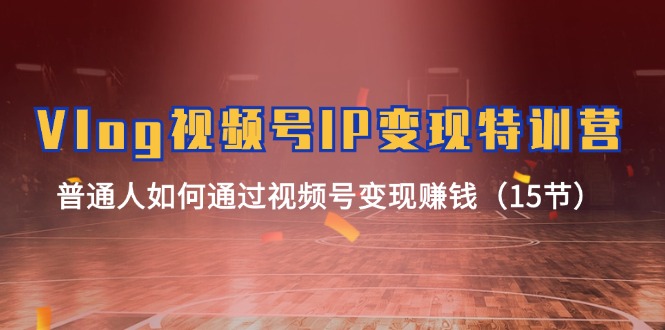 （11654期）Vlog 视频号IP变现特训营，普通人如何通过视频号变现赚钱（15节）-占领资源网