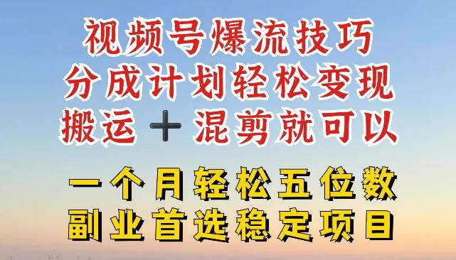 视频号爆流技巧，分成计划轻松变现，搬运 +混剪就可以，一个月轻松五位数稳定项目【揭秘】-占领资源网