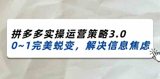2024-2025拼多多实操运营策略3.0，0~1完美蜕变，解决信息焦虑（38节）-占领资源网