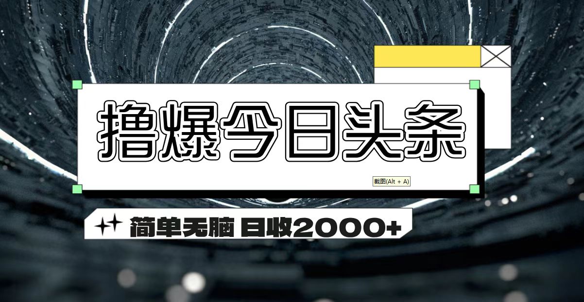 （11665期）撸爆今日头条 简单无脑操作 日收2000+-占领资源网