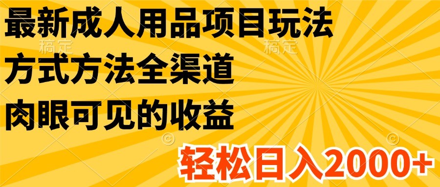 最新成人用品项目玩法，方式方法全渠道，肉眼可见的收益，轻松日入2000+-占领资源网
