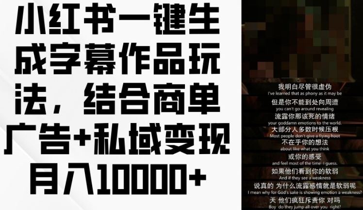 小红书一键生成字幕作品玩法，结合商单广告+私域变现月入1w+【揭秘】-占领资源网