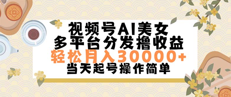 （11684期）视频号AI美女，轻松月入30000+,操作简单轻松上手-占领资源网