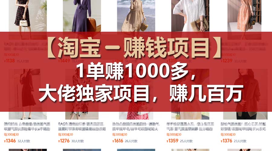 （11685期）【淘宝赚钱项目】1单可赚1000多，大佬独家项目，年赚几百万-占领资源网
