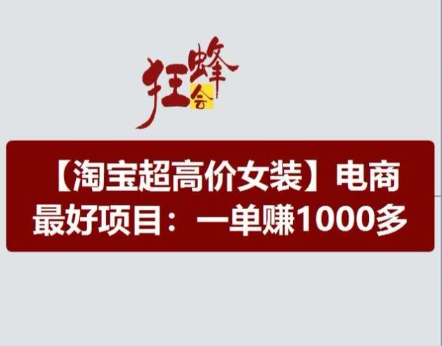 淘宝超高价女装项目，电商最好赛道，一单赚1000多-占领资源网
