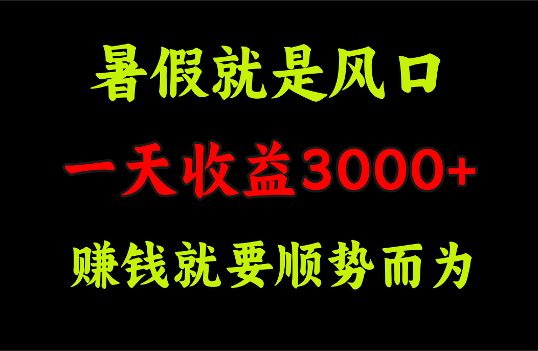 （11670期）一天收益3000+ 赚钱就是顺势而为，暑假就是风口-占领资源网