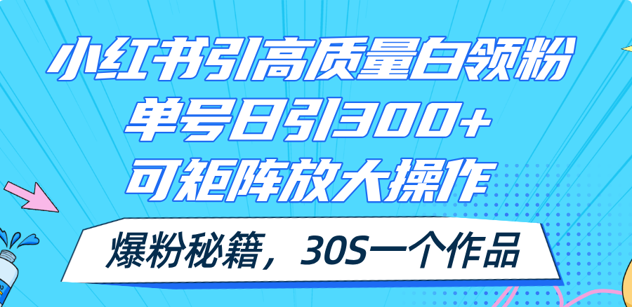 （11692期）小红书引高质量白领粉，单号日引300+，可放大操作，爆粉秘籍！30s一个作品-占领资源网