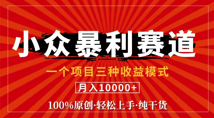（11695期）视频号【中老年粉深信不疑】小众赛道 100%原创 手把手教学 新号3天收益…-占领资源网