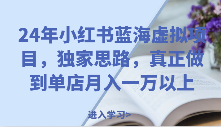24年小红书蓝海虚拟项目，独家思路，真正做到单店月入一万以上。-占领资源网