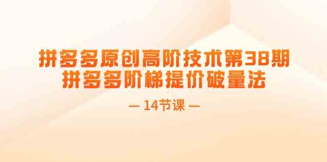 拼多多原创高阶技术第38期，拼多多阶梯提价破量法（14节课）-占领资源网