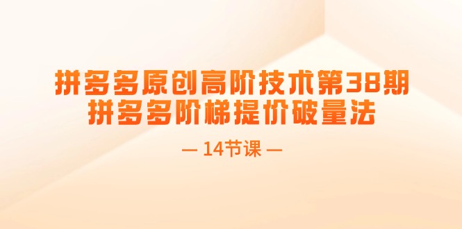 （11704期）拼多多原创高阶技术第38期，拼多多阶梯提价破量法（14节课）-占领资源网