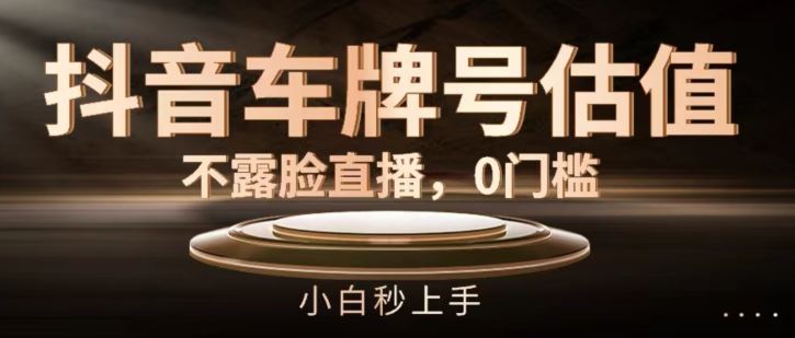 抖音车牌号估值，不露脸直播，0门槛，小白秒上手【揭秘】-占领资源网