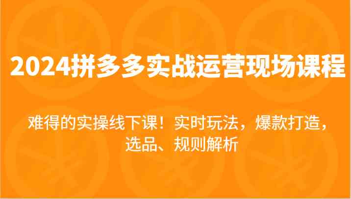 2024拼多多实战运营现场课，实时玩法，爆款打造，选品、规则解析，难得的实操线下课！-占领资源网