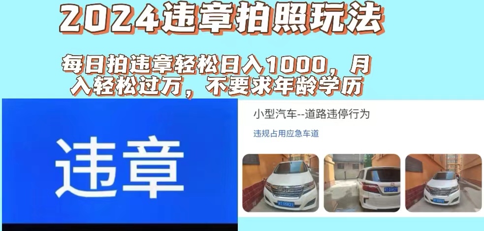 （11743期）2024违章拍照新玩法，推广躺赚+拍照赚钱双模式，日入1000+-占领资源网