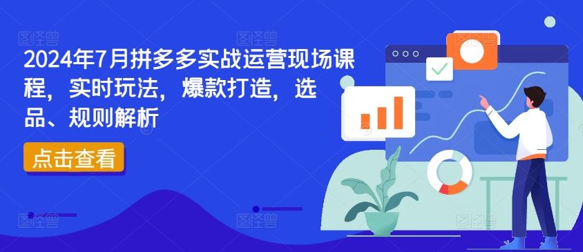 2024年7月拼多多实战运营现场课程，实时玩法，爆款打造，选品、规则解析-占领资源网