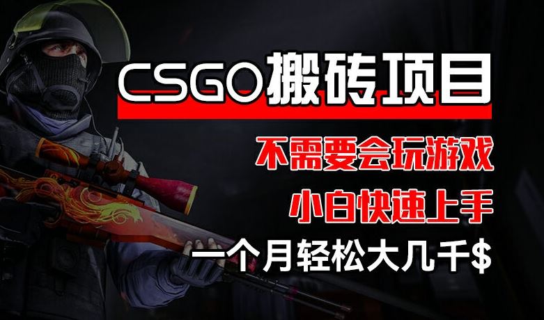 CSGO 装备搬砖项目，操作简单，不需要会玩游戏，小白也能快速上手，一个月轻松大几千【揭秘】-占领资源网
