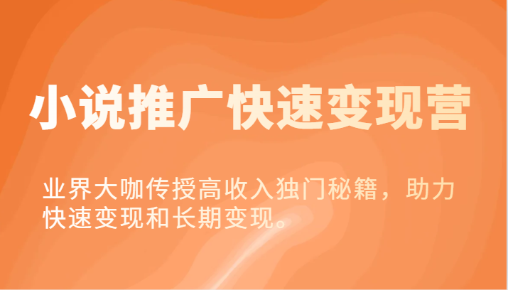 小说推广快速变现营-业界大咖传授高收入独门秘籍，助力快速变现和长期变现。-占领资源网