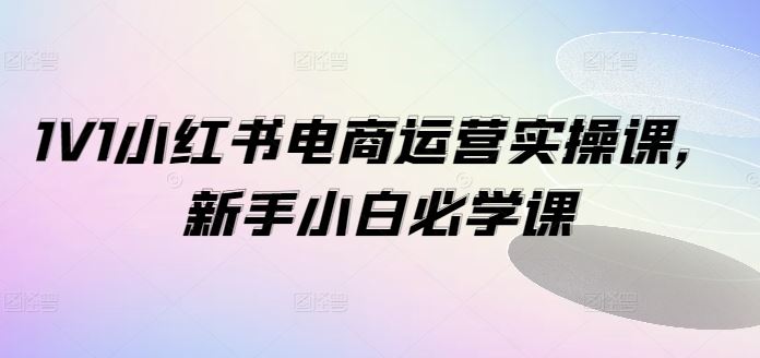 1V1小红书电商运营实操课，新手小白必学课-占领资源网