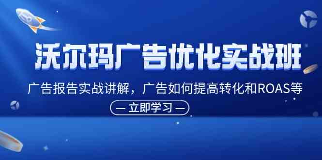 沃尔玛广告优化实战班，广告报告实战讲解，广告如何提高转化和ROAS等-占领资源网