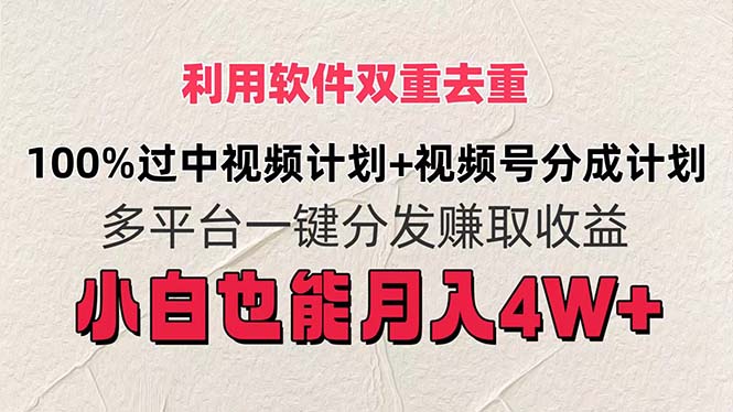 （11862期）利用软件双重去重，100%过中视频+视频号分成计划小白也可以月入4W+-占领资源网