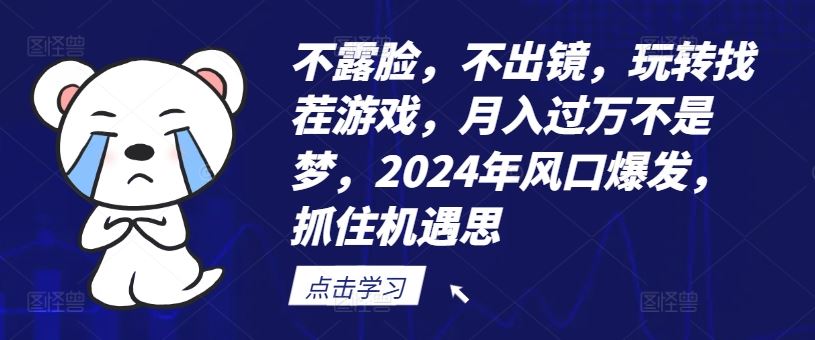 不露脸，不出镜，玩转找茬游戏，月入过万不是梦，2024年风口爆发，抓住机遇【揭秘】-占领资源网