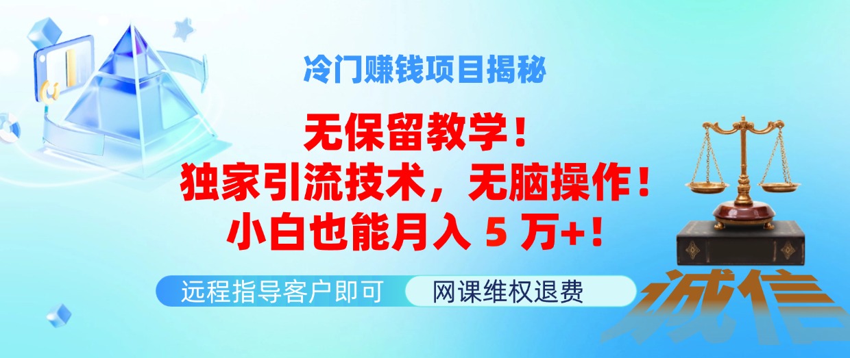 （11864期）冷门赚钱项目无保留教学！独家引流技术，无脑操作！小白也能月入5万+！-占领资源网