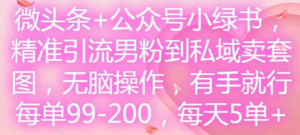 微头条+公众号小绿书，精准引流男粉到私域卖套图，无脑操作，有手就行，每单99-200，每天5单-占领资源网